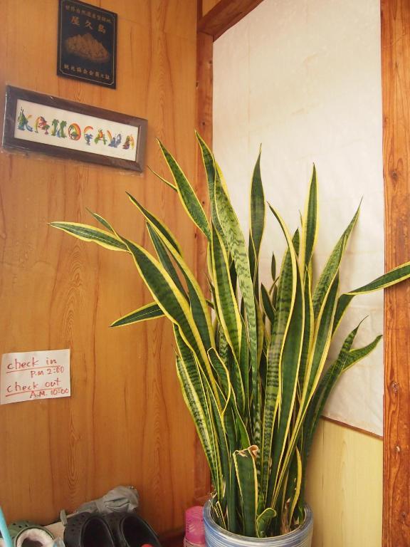 Hotel Tirol Yakushima  Zimmer foto
